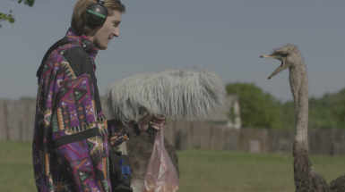 Мої думки тихі