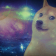 Profile picture for user 242