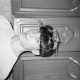 Profile picture for user 22401